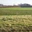 Tønder Kommune afholder temadag om regenerativt landbrug