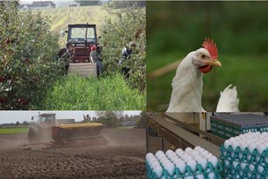Tilskud til miljøteknologier til gartnerier, planteavl samt produktion af æg og fjerkræ