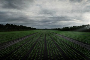 Ny kampagne skal vække danskernes stolthed for landbruget