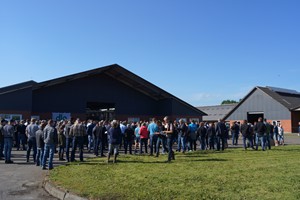 Stort fremmøde til grovfoderekskursionen 13. juni i Sydjylland