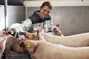 COVID-19: Landbrugspraktikanter kan blive yderligere tre måneder i Danmark