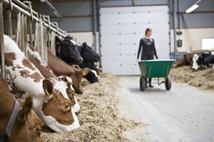 Nye løn- og ansættelsesvilkår for fodermestre og driftsledere